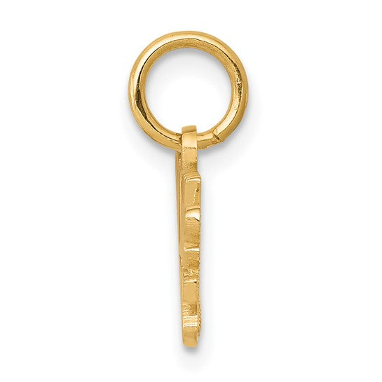 10kt Yellow Gold LITTLE PRINCESS with Crown Charm