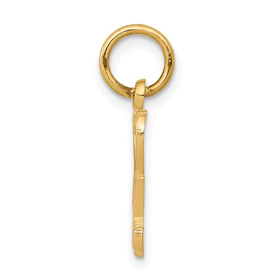 10kt Yellow Gold Talking - I HEART SEX Charm