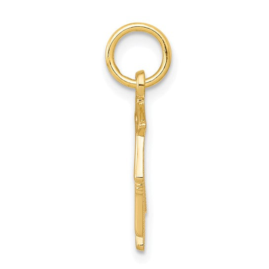 10kt Yellow Gold Graduation Owl Charm