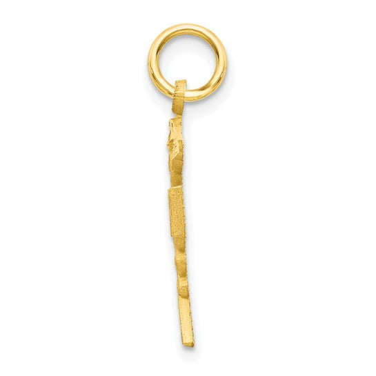 10kt Yellow Gold Solid Registered Nurse Charm