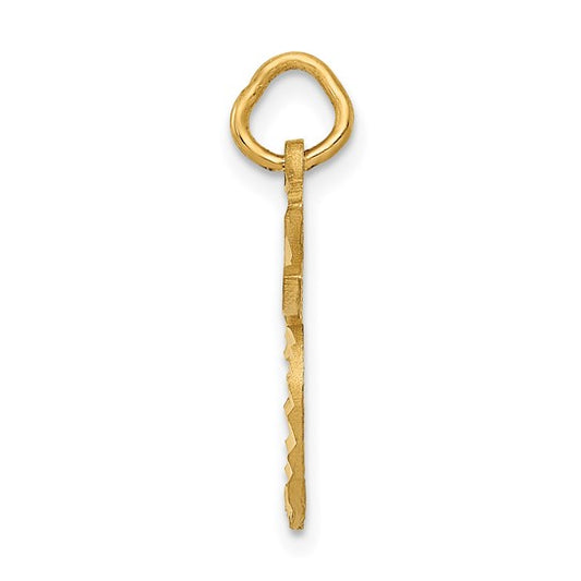 14kt Yellow Gold Apple Charm