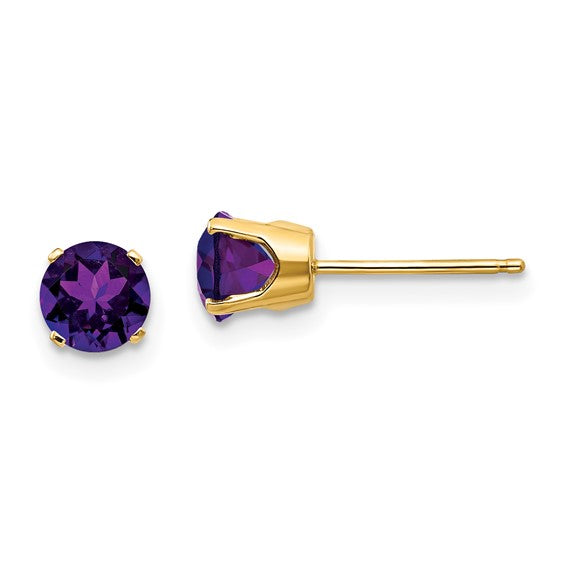 14kt Yellow Gold 5mm Amethyst Earrings - February