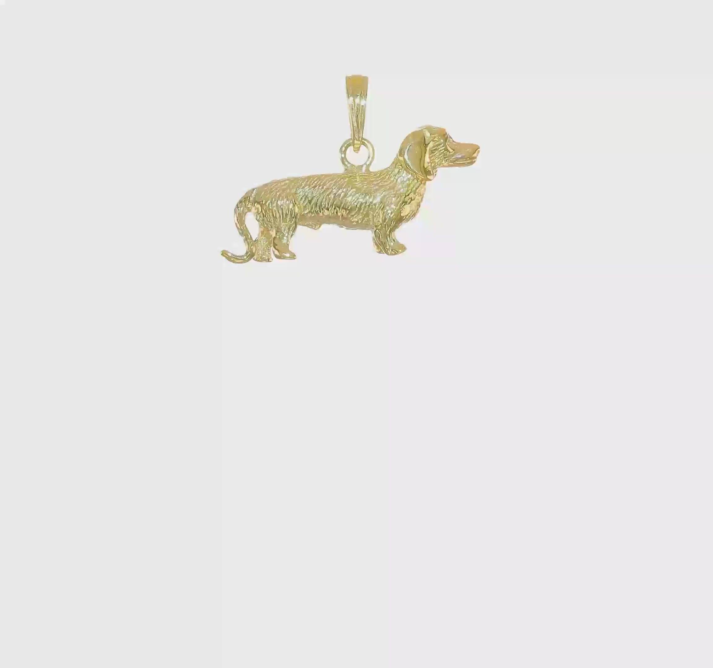 10kt Yellow Gold Solid Polished 3-Dimensional Wire Haired Dachshund Charm