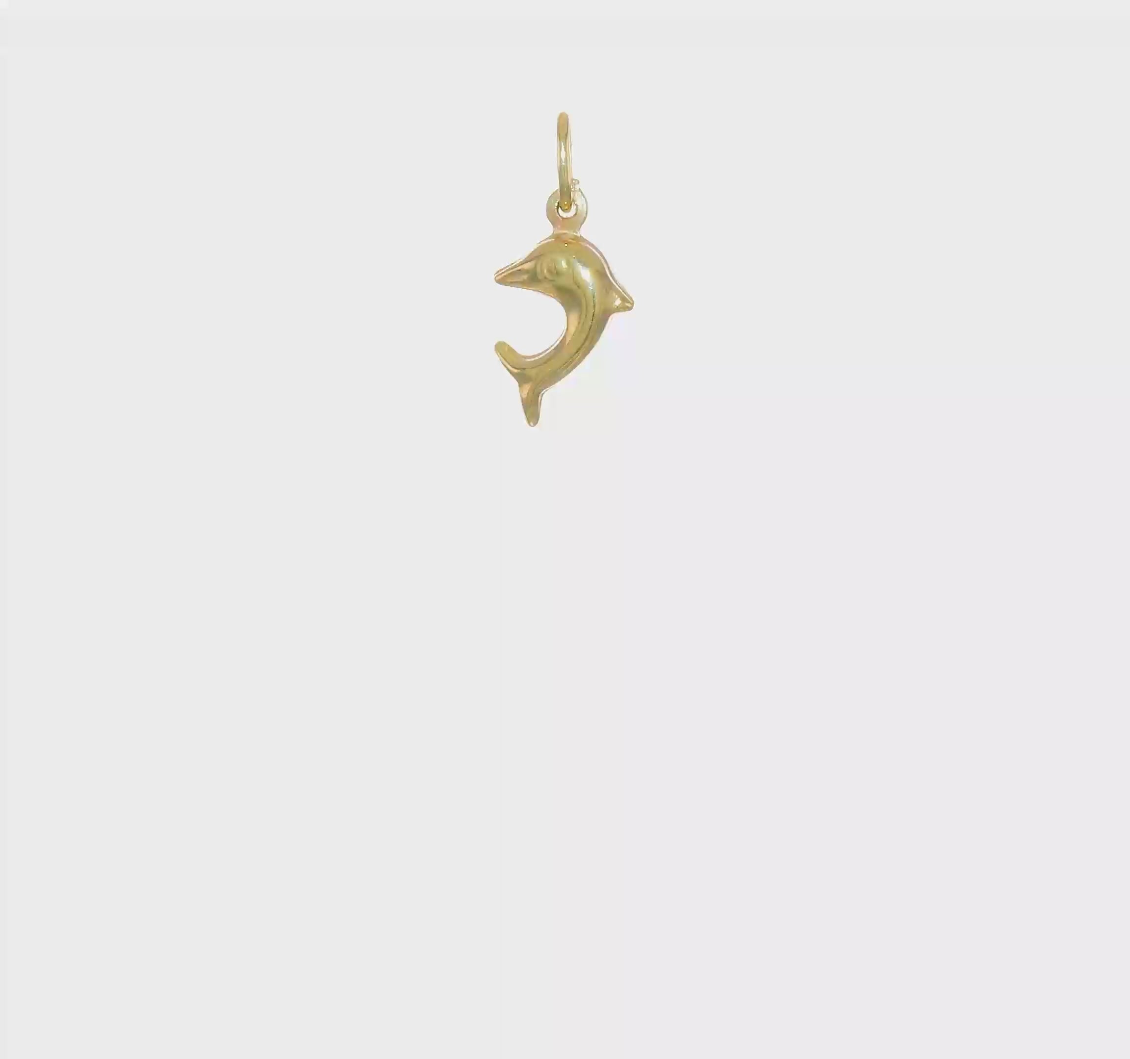 10kt Yellow Gold Dolphin Charm