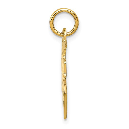 10kt Yellow Gold Good Luck Charm