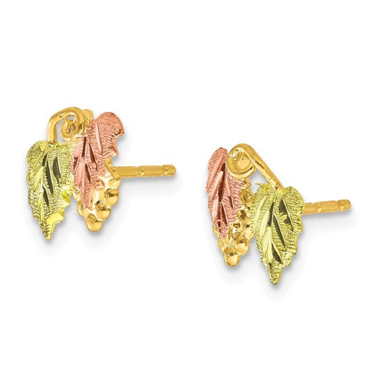 10kt Tri-color Black Hills Gold Post Earrings