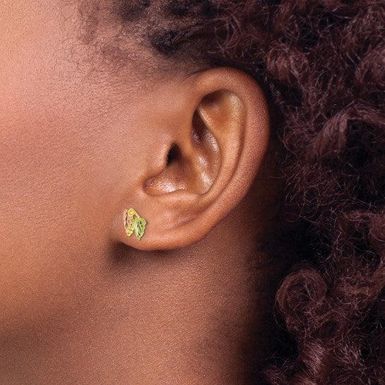 10kt Tri-color Black Hills Gold Post Earrings