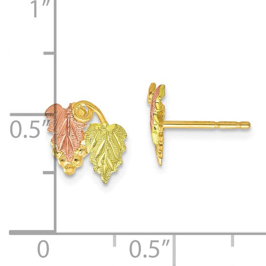 10kt Tri-color Black Hills Gold Post Earrings