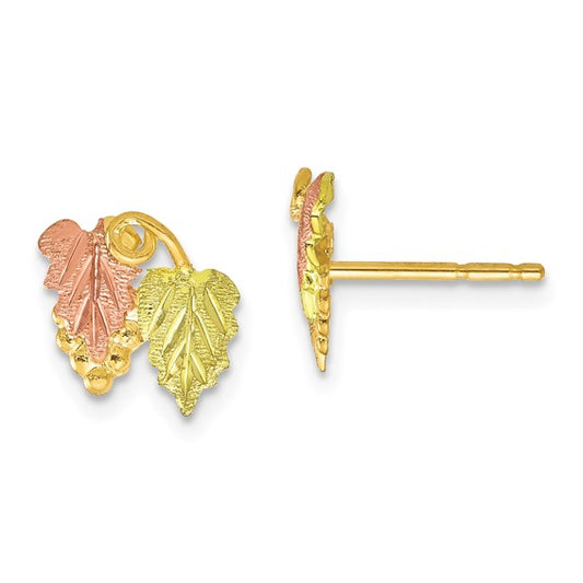 10kt Tri-color Black Hills Gold Post Earrings