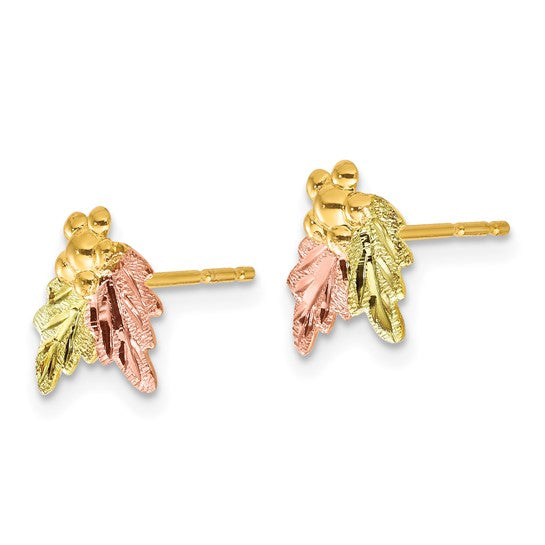 10kt Tri-color Black Hills Gold Post Earrings