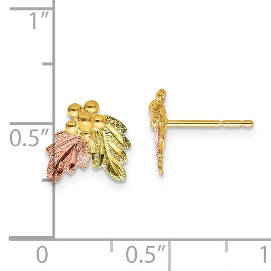 10kt Tri-color Black Hills Gold Post Earrings