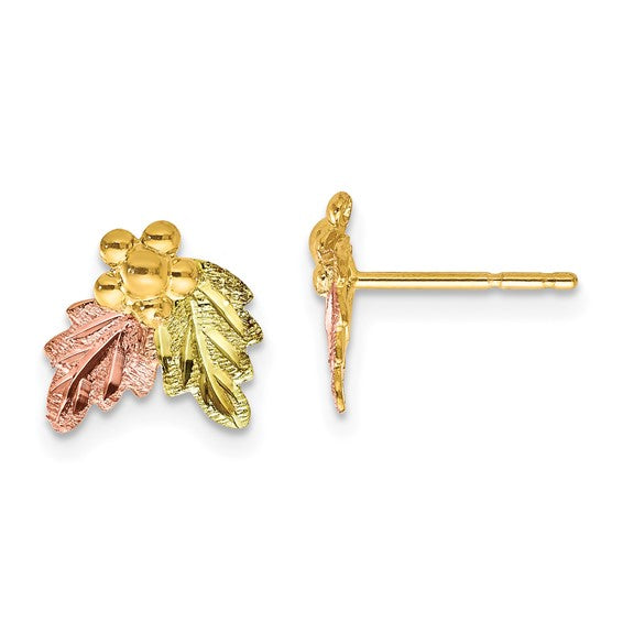 10kt Tri-color Black Hills Gold Post Earrings