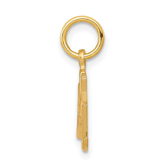 10kt Yellow Gold BABY BOY Charm