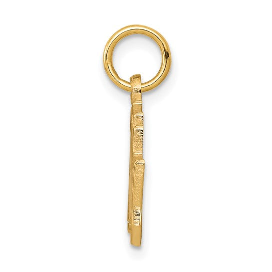 10kt Yellow Gold 25th ANNIVERSARY Charm