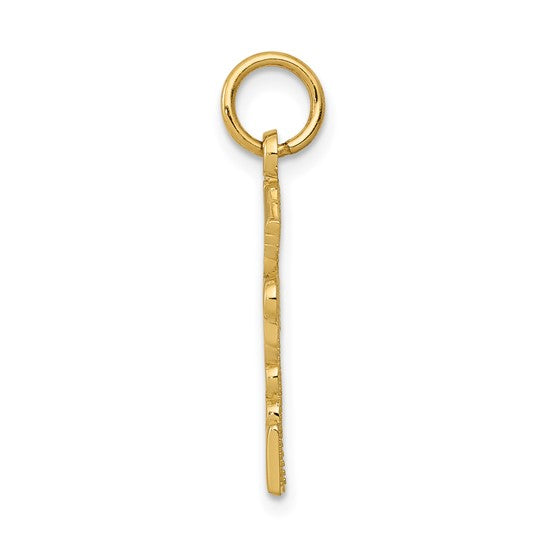 10kt Yellow Gold Registered Nurse Practitioner Charm