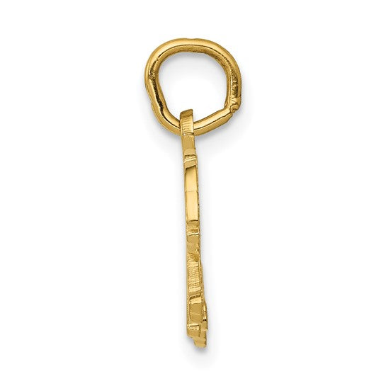10kt Yellow Gold Tiger Charm