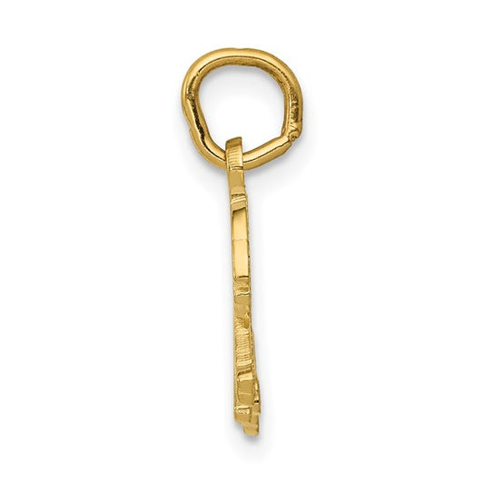 10kt Yellow Gold Tiger Charm