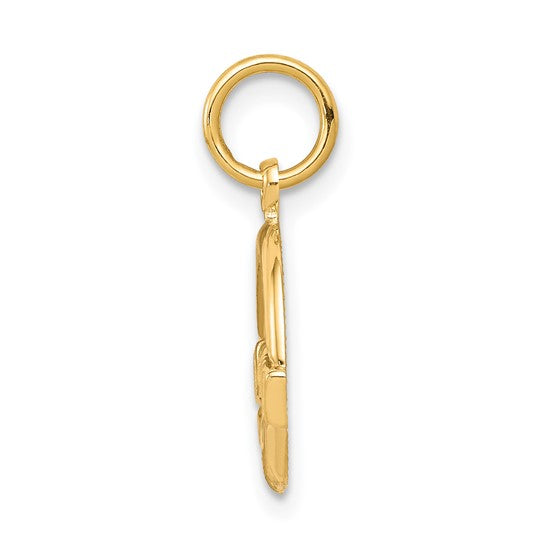 10kt Yellow Gold Claddagh Charm