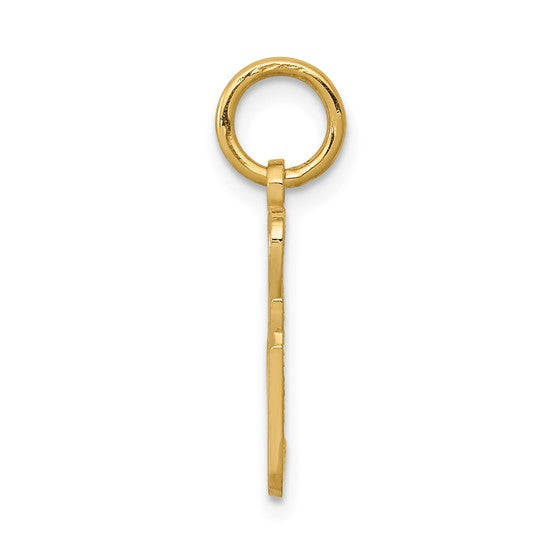 10kt Yellow Gold Talking - 2 SEXY Charm