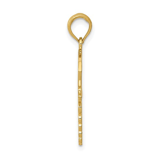 10kt Yellow Gold Caduceus w/Nurses Cap Pendant
