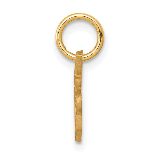 10kt Yellow Gold SPECIAL SISTER Charm