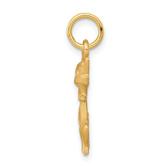 10kt Yellow Gold Tom Cat Charm