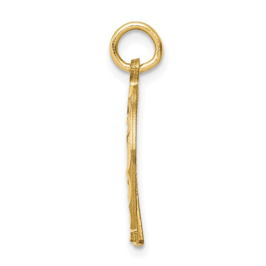 10kt Yellow Gold Horseshoe Charm