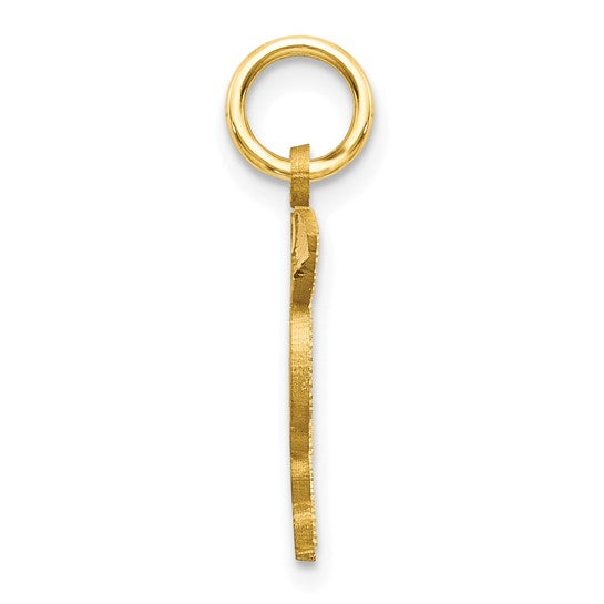 10kt Yellow Gold Solid Doctor of Medicine MD Charm