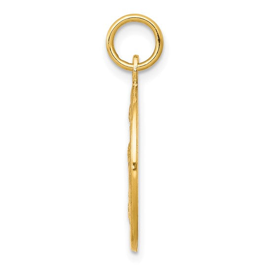 10kt Yellow Gold Solid Satin Polished Baptism Disc Pendant