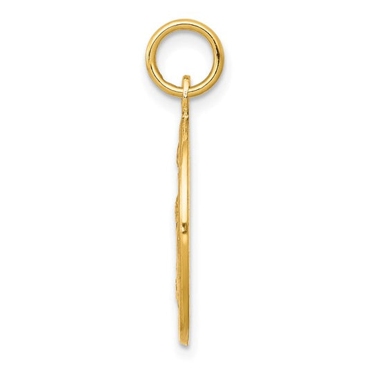 10kt Yellow Gold Solid Satin Polished Baptism Disc Pendant