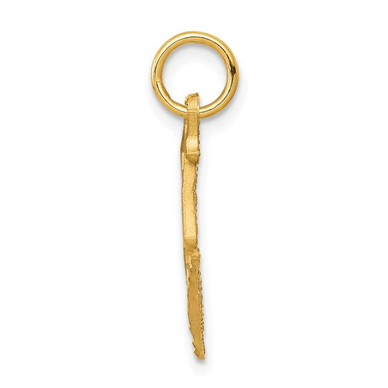 10kt Yellow Gold Diamond-cut Ice Skate Charm