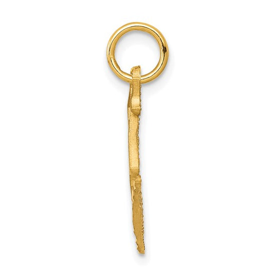 10kt Yellow Gold Diamond-cut Ice Skate Charm