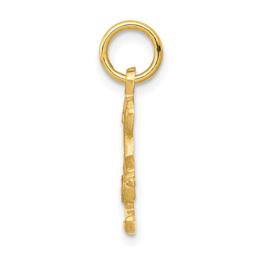 10kt Yellow Gold Diamond-cut Skier Charm