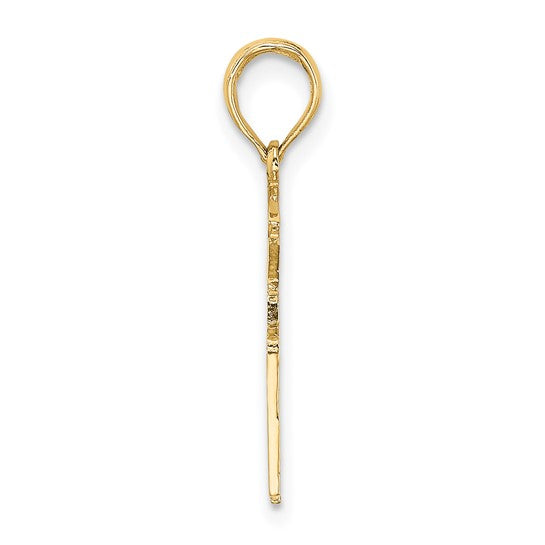 10kt Yellow Gold Registered Nurse Charm