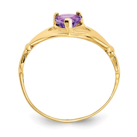 10kt Yellow Gold CZ February Birthstone Claddagh Heart Ring
