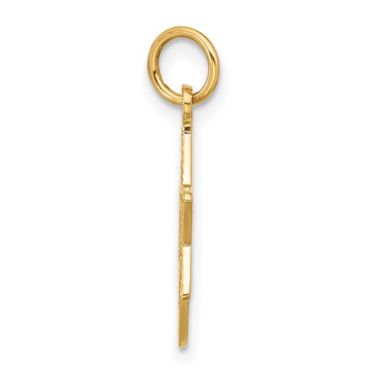 10kt Yellow Gold Jewish Star Charm