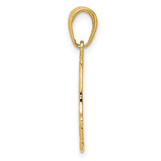 10kt Yellow Gold Chamseh Pendant