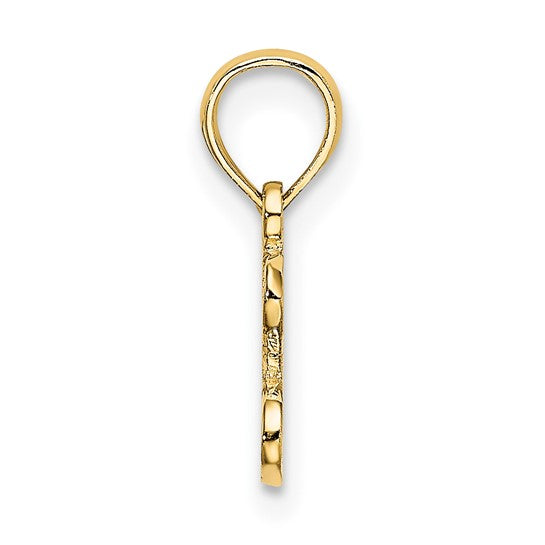10KT Yellow Gold Polished / Textured I LOVE GOLD Charm