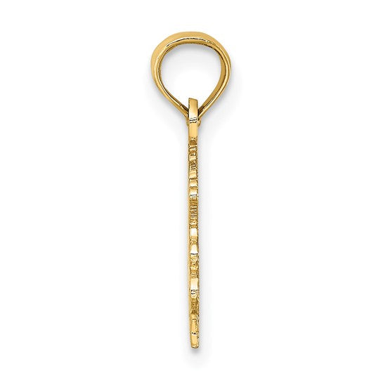 10KT Yellow Gold 100% CAPRICORN Zodiac Charm