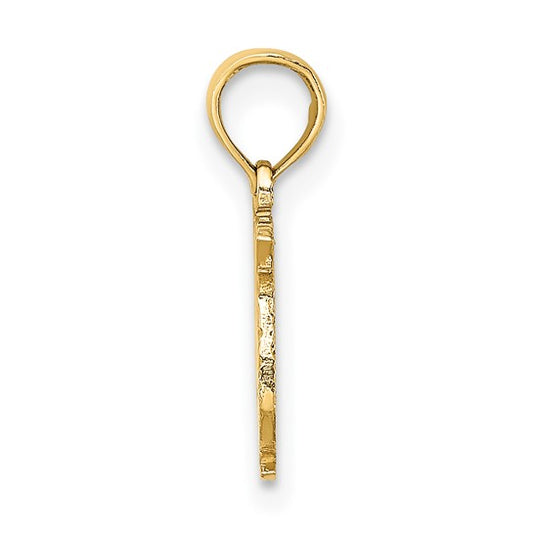 10KT Yellow Gold 100% PISCES Zodiac Charm