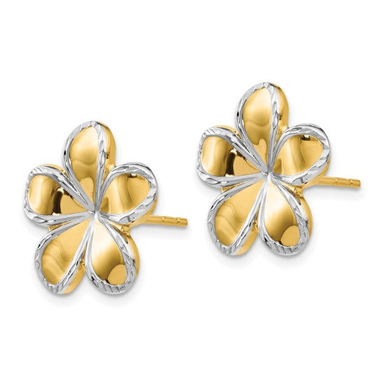 14kt Yellow Gold w/Rhodium Flower Post Earrings
