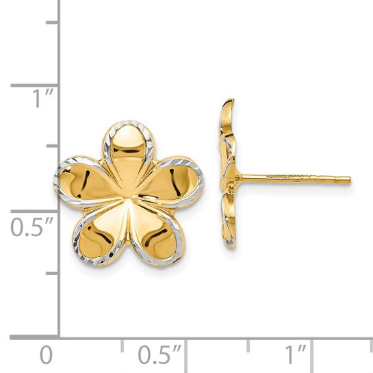 14kt Yellow Gold w/Rhodium Flower Post Earrings