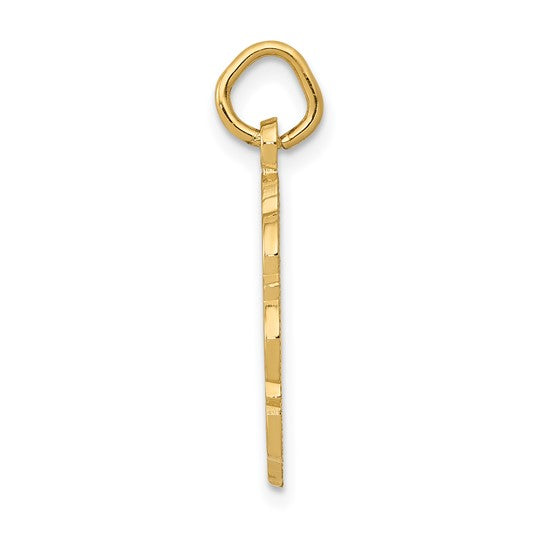14kt Yellow Gold RN Registered Nurse Disc Charm