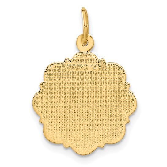 14kt Yellow Gold RN Registered Nurse Disc Charm