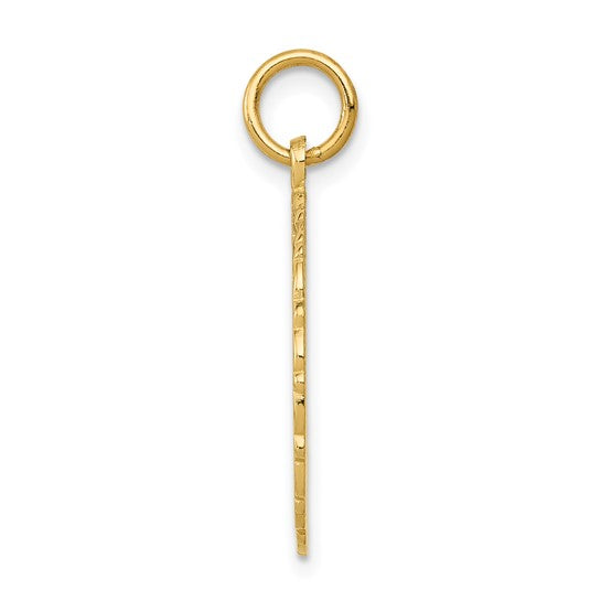 14kt Yellow Gold RN Registered Nurse Disc Charm