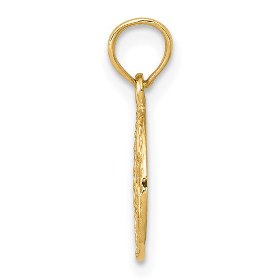 14KT Yellow Gold Star of David in Circle Frame Pendant