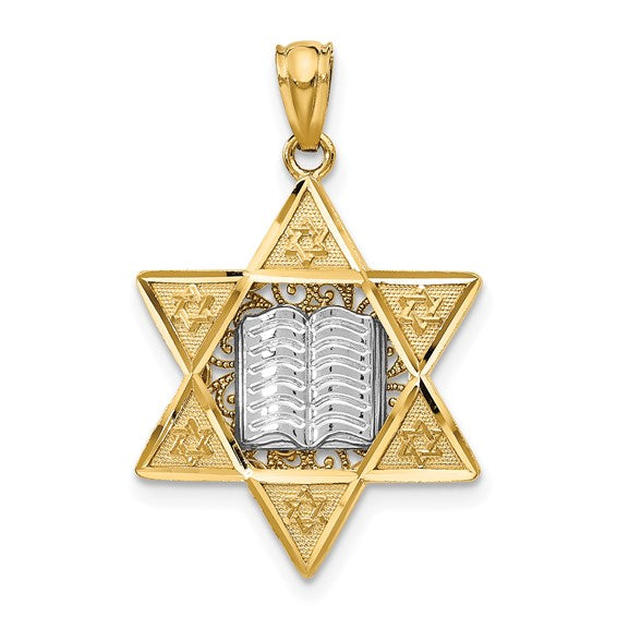 14kt Two-tone Star of David Pendant