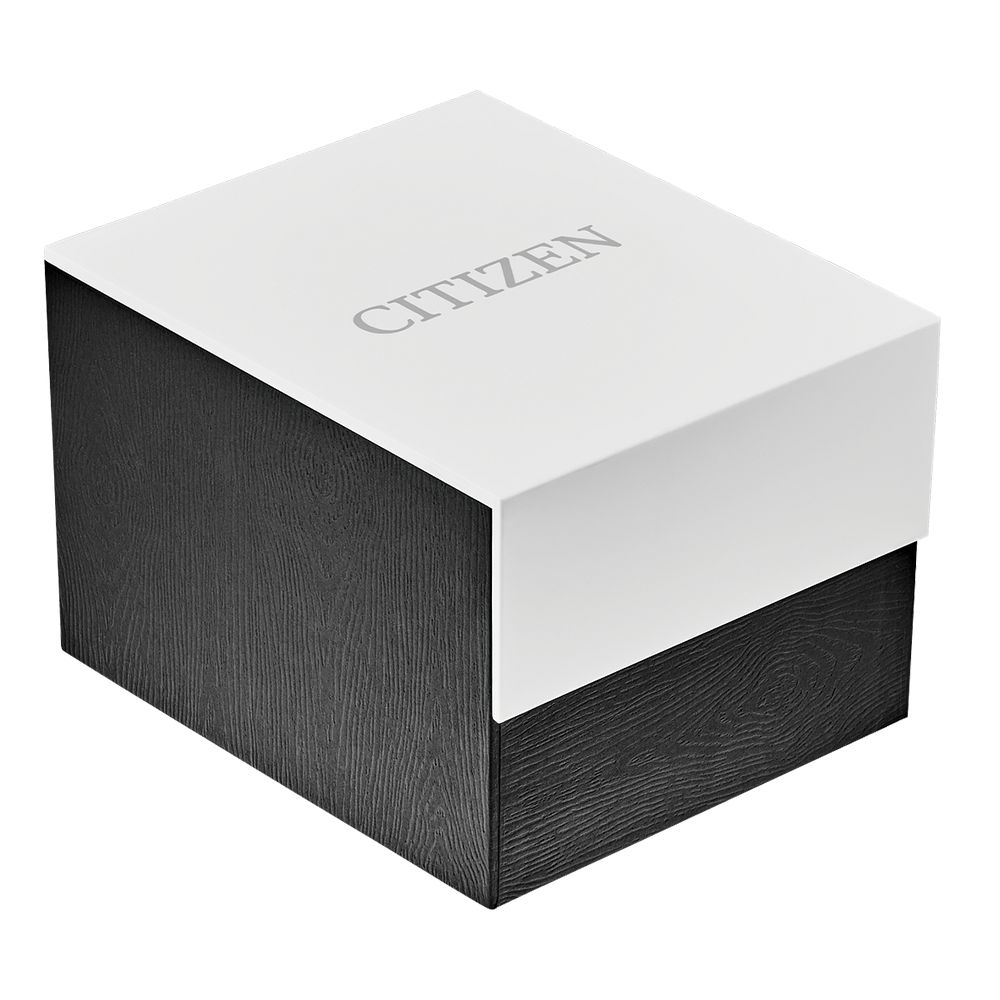 Citizen Quartz Womens Watch