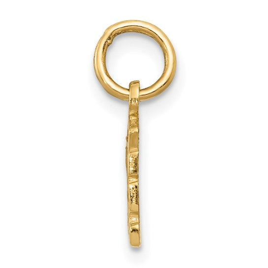 14kt Yellow Gold Swiss Cheese Charm