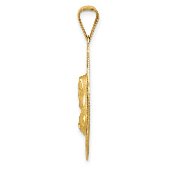 14kt Yellow Gold Polished D/C Sagrado Corazon Oval Pendant